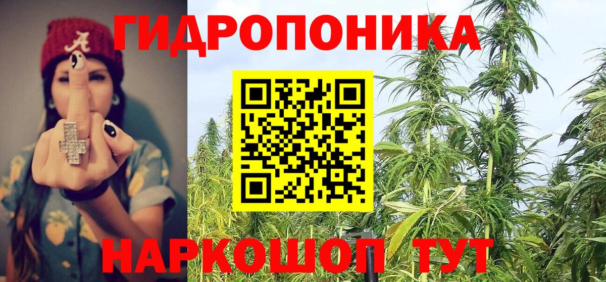 Бошки Шишки сатива Нижний Новгород